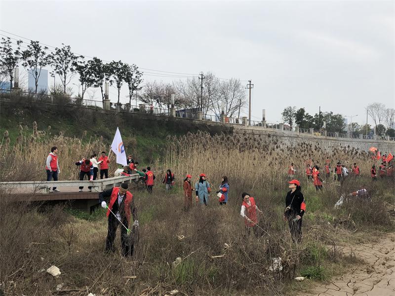 PG电子·(中国)官方网站