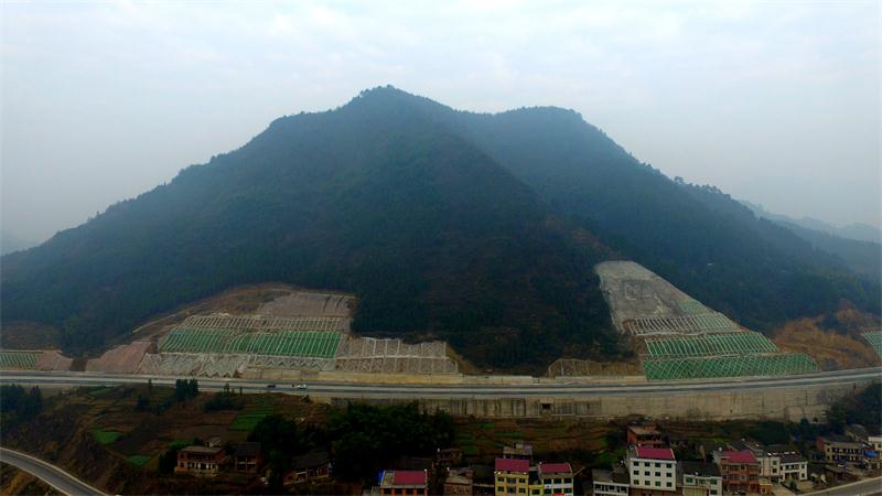 PG电子·(中国)官方网站